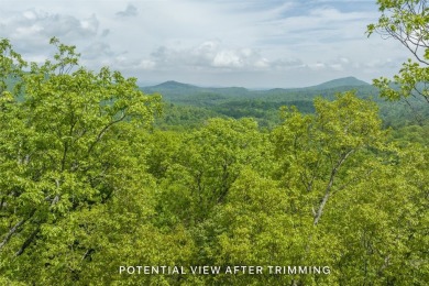 Welcome to your future mountain escape! This generously sized 2 on Sapphire National Golf Club in North Carolina - for sale on GolfHomes.com, golf home, golf lot