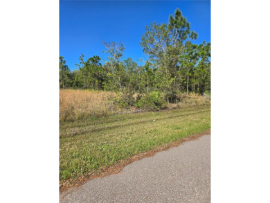 Build Your Dream Home in Peace River Shores, Punta Gorda! on Live Oak Golf Club and RV Park in Florida - for sale on GolfHomes.com, golf home, golf lot