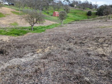 Discover the perfect blend of privacy, nature, and lake-area on The Club at Copper Valley Golf Course in California - for sale on GolfHomes.com, golf home, golf lot
