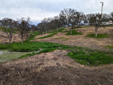 Discover the perfect blend of privacy, nature, and lake-area on The Club at Copper Valley Golf Course in California - for sale on GolfHomes.com, golf home, golf lot