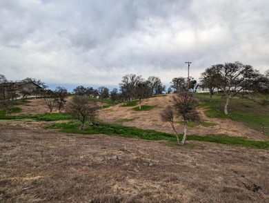 Discover the perfect blend of privacy, nature, and lake-area on The Club at Copper Valley Golf Course in California - for sale on GolfHomes.com, golf home, golf lot
