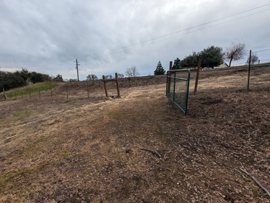 Discover the perfect blend of privacy, nature, and lake-area on The Club at Copper Valley Golf Course in California - for sale on GolfHomes.com, golf home, golf lot