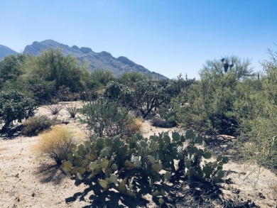 Rare availability, .81 Acre lot in sought-after OVCC Estates on Oro Valley Country Club in Arizona - for sale on GolfHomes.com, golf home, golf lot