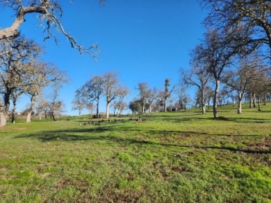 Fabulous location for your future dream home! Enjoy views of the on The Club at Copper Valley Golf Course in California - for sale on GolfHomes.com, golf home, golf lot