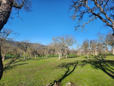 Fabulous location for your future dream home! Enjoy views of the on The Club at Copper Valley Golf Course in California - for sale on GolfHomes.com, golf home, golf lot