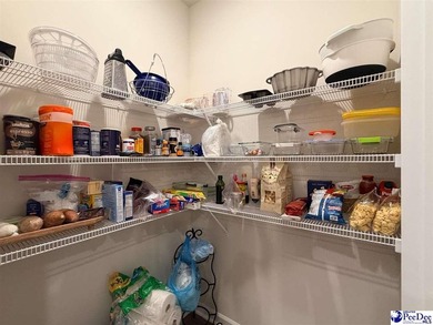 Welcome to 119 Marauder Drive in The Vistas at Sun Colony, a on Palmetto Greens Golf and Country Club in South Carolina - for sale on GolfHomes.com, golf home, golf lot