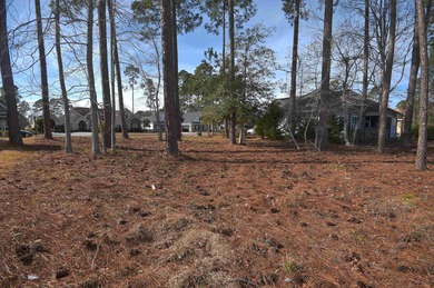Step into the serene world of Cypress River Plantation, a hidden on Heron Point Golf Club in South Carolina - for sale on GolfHomes.com, golf home, golf lot
