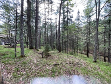 Huge Timber Ridge lot privately set back from 18th Fairway on Timber Ridge Golf Club in Wisconsin - for sale on GolfHomes.com, golf home, golf lot