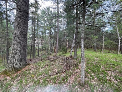 Huge Timber Ridge lot privately set back from 18th Fairway on Timber Ridge Golf Club in Wisconsin - for sale on GolfHomes.com, golf home, golf lot