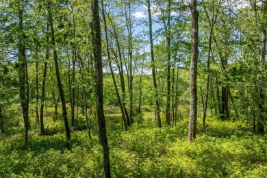 Discover an easily buildable cottage lot in the charming Natures on Natures Walk At Chinquapin in North Carolina - for sale on GolfHomes.com, golf home, golf lot