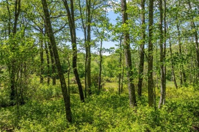 Discover an easily buildable cottage lot in the charming Natures on Natures Walk At Chinquapin in North Carolina - for sale on GolfHomes.com, golf home, golf lot