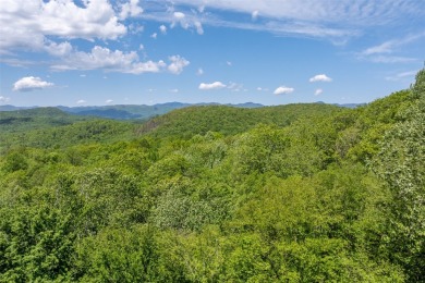 Discover the perfect canvas for a dream mountain retreat in the on Natures Walk At Chinquapin in North Carolina - for sale on GolfHomes.com, golf home, golf lot
