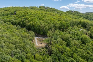 Discover the perfect canvas for a dream mountain retreat in the on Natures Walk At Chinquapin in North Carolina - for sale on GolfHomes.com, golf home, golf lot