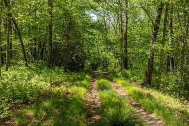 Experience the beauty of nature on this 3.46-acre lot with creek on Natures Walk At Chinquapin in North Carolina - for sale on GolfHomes.com, golf home, golf lot
