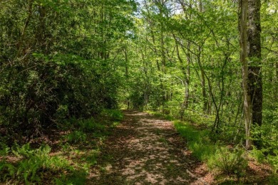 Experience the beauty of nature on this 3.46-acre lot with creek on Natures Walk At Chinquapin in North Carolina - for sale on GolfHomes.com, golf home, golf lot