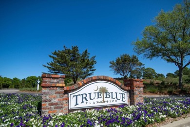 Gorgeous Updated 2-Bedroom True Blue Golf Condo for Sale! on True Blue Plantation in South Carolina - for sale on GolfHomes.com, golf home, golf lot