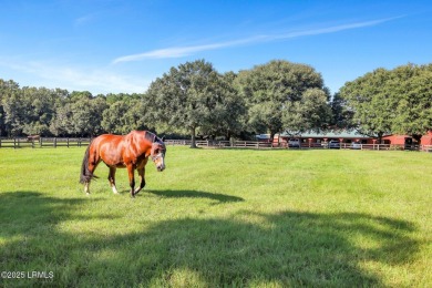 Opportunity to own the last available buildable lot in the on Old Tabby Links on Spring Island in South Carolina - for sale on GolfHomes.com, golf home, golf lot