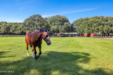 Opportunity to own the last available buildable lot in the on Old Tabby Links on Spring Island in South Carolina - for sale on GolfHomes.com, golf home, golf lot