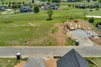 THIS ISN'T JUST A LOT, IT'S THE FOUNDATION FOR YOUR FUTURE on Tennessee National Golf Club in Tennessee - for sale on GolfHomes.com, golf home, golf lot