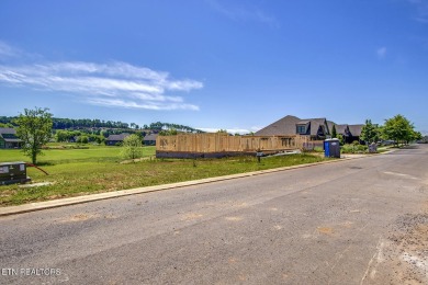 THIS ISN'T JUST A LOT, IT'S THE FOUNDATION FOR YOUR FUTURE on Tennessee National Golf Club in Tennessee - for sale on GolfHomes.com, golf home, golf lot