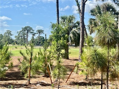 Popular Vistanna Villa 2 bedroom 2 bath with den that may be on Copperhead Golf Club in Florida - for sale on GolfHomes.com, golf home, golf lot