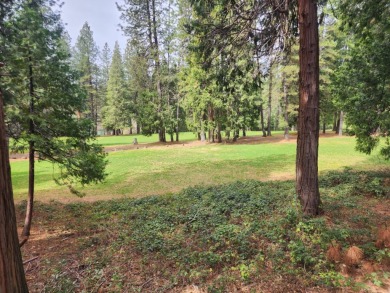 Build your dream home on the 9th Fairway! Great location with on Forest Meadows Golf Course in California - for sale on GolfHomes.com, golf home, golf lot