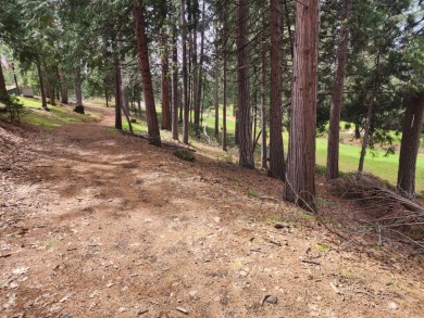 Build your dream home on the 9th Fairway! Great location with on Forest Meadows Golf Course in California - for sale on GolfHomes.com, golf home, golf lot