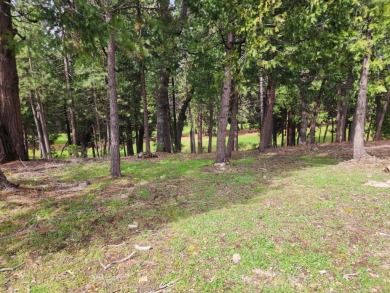 Build your dream home on the 9th Fairway! Great location with on Forest Meadows Golf Course in California - for sale on GolfHomes.com, golf home, golf lot