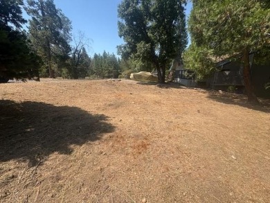 Build your Dream Home on this great level Parcel with no rear on Forest Meadows Golf Course in California - for sale on GolfHomes.com, golf home, golf lot