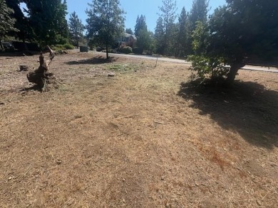 Build your Dream Home on this great level Parcel with no rear on Forest Meadows Golf Course in California - for sale on GolfHomes.com, golf home, golf lot