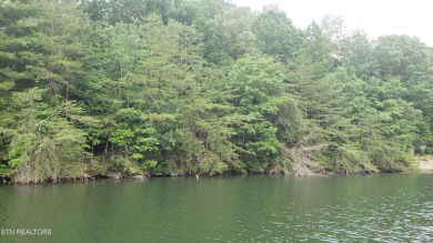 Spectacular views from  these two lots being offered together on on Heatherhurst Golf Course in Tennessee - for sale on GolfHomes.com, golf home, golf lot