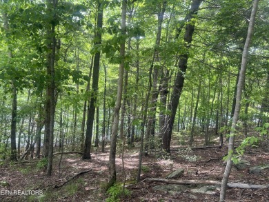 Spectacular views from  these two lots being offered together on on Heatherhurst Golf Course in Tennessee - for sale on GolfHomes.com, golf home, golf lot