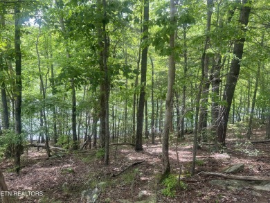 Spectacular views from  these two lots being offered together on on Heatherhurst Golf Course in Tennessee - for sale on GolfHomes.com, golf home, golf lot