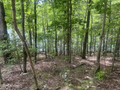 Spectacular views from  these two lots being offered together on on Heatherhurst Golf Course in Tennessee - for sale on GolfHomes.com, golf home, golf lot