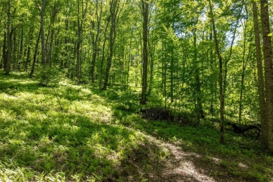 Discover serene living on this long-range-view lot with on Natures Walk At Chinquapin in North Carolina - for sale on GolfHomes.com, golf home, golf lot