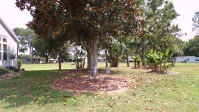 This charming three-bedroom Palm Harbor home offers an idyllic on Schalamar Creek Golf and Country Club in Florida - for sale on GolfHomes.com, golf home, golf lot