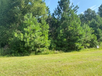 Beautiful residential lot located in the exclusive neighborhood on The Pines Golf Club in Alabama - for sale on GolfHomes.com, golf home, golf lot