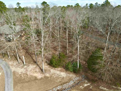 Large golf front lot on Magellan Golf Course overlooking tee box on Magellan Golf Course in Arkansas - for sale on GolfHomes.com, golf home, golf lot