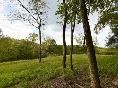 This double lot offers 3.96 acres of privacy and natural beauty on The Bull At Boones Trace in Kentucky - for sale on GolfHomes.com, golf home, golf lot