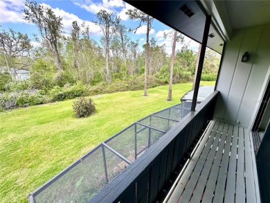 PRICE REDUCED, SADDLEBROOK GOLF COUNTRY CLUB, a resort-style on Saddlebrook Golf and Country Club in Florida - for sale on GolfHomes.com, golf home, golf lot