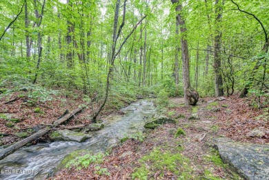 **Beautiful Fairfield Glade Home on 2 Lots with Creek  Scenic on Druid Hills Golf Club in Tennessee - for sale on GolfHomes.com, golf home, golf lot