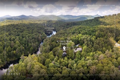 Discover a captivating retreat in Holly Forest with this classic on Sapphire National Golf Club in North Carolina - for sale on GolfHomes.com, golf home, golf lot