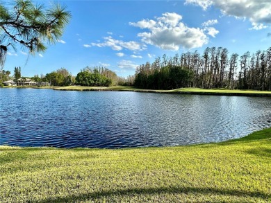 PRICE REDUCED, SADDLEBROOK GOLF COUNTRY CLUB, a resort-style on Saddlebrook Golf and Country Club in Florida - for sale on GolfHomes.com, golf home, golf lot