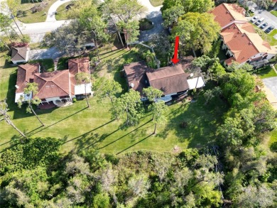 PRICE REDUCED, SADDLEBROOK GOLF COUNTRY CLUB, a resort-style on Saddlebrook Golf and Country Club in Florida - for sale on GolfHomes.com, golf home, golf lot