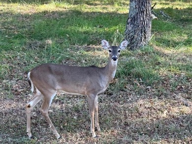 Gated country club living on the shores of Cedar Creek Lake! on Pinnacle Golf and Boat Club in Texas - for sale on GolfHomes.com, golf home, golf lot