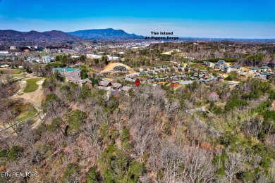 Gorgeous, Updated Investment Cabin Available in Pigeon Forge! on Gatlinburg Golf Course in Tennessee - for sale on GolfHomes.com, golf home, golf lot