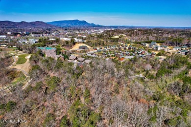 Gorgeous, Updated Investment Cabin Available in Pigeon Forge! on Gatlinburg Golf Course in Tennessee - for sale on GolfHomes.com, golf home, golf lot