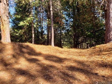 Residential Lot in Forest Meadows Golf Community . Has sewer and on Forest Meadows Golf Course in California - for sale on GolfHomes.com, golf home, golf lot