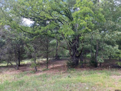 1.350 ACRE LOT!!   ONE OF THE FEW LARGE LOTS REMAINING! The on Cascades Golf Club in Texas - for sale on GolfHomes.com, golf home, golf lot