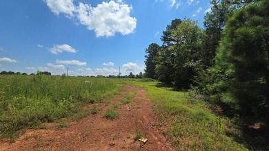 Pine Lane Subdivision is nestled close to Mt. Enterprise and on Wild Spring Dunes Golf Course in Texas - for sale on GolfHomes.com, golf home, golf lot